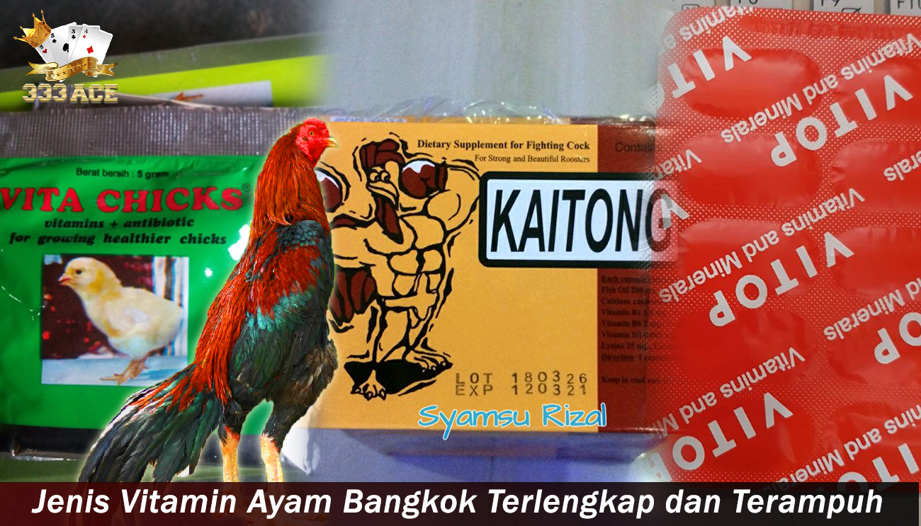 Jenis Vitamin Ayam Bangkok Terlengkap